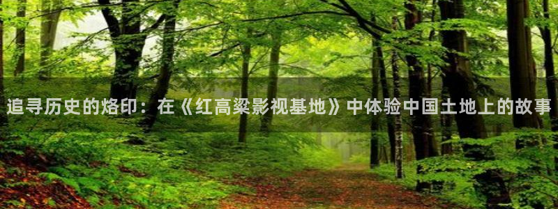九七电影院网页版：追寻历史的烙印：在《红高粱影视基地》中体验中国土地上的故事