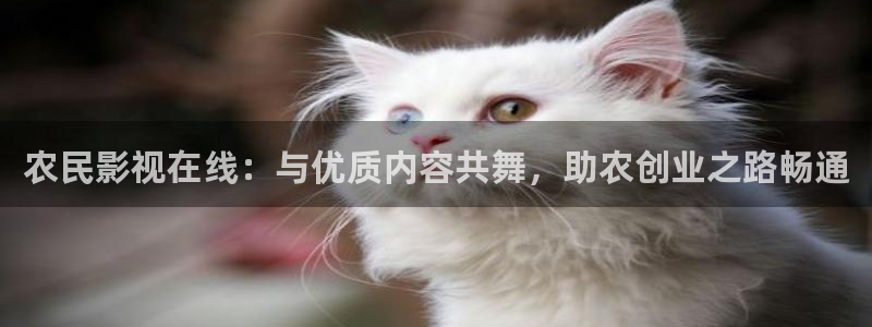 九七影院2：农民影视在线：与优质内容共舞，助农创业之路畅通