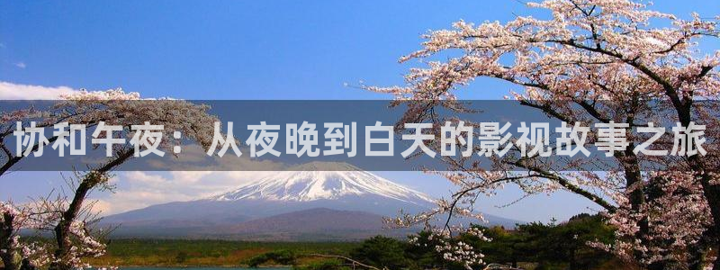 九七电影院97网手机：协和午夜：从夜晚到白天的影视故事之旅
