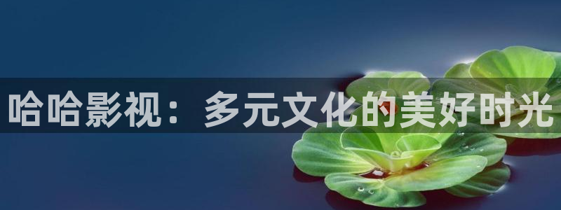 九七电影网在：哈哈影视：多元文化的美好时光
