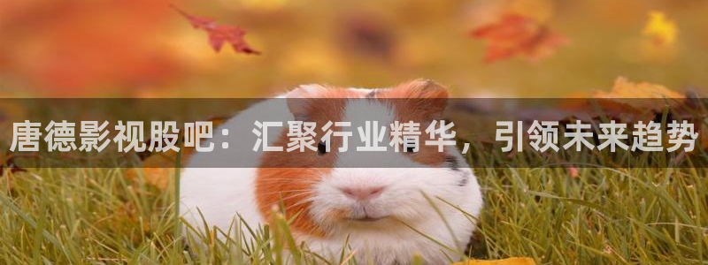 九七电影网支持手机版：唐德影视股吧：汇聚行业精华，引领未来趋势