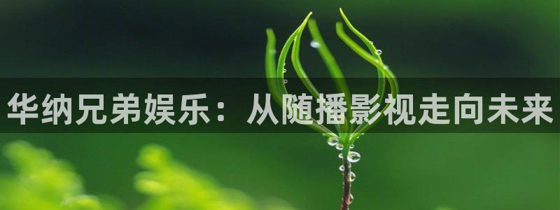 九七电影免费手机版观看