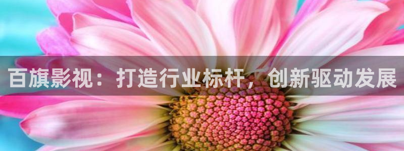 电影网九七：百旗影视：打造行业标杆，创新驱动发展