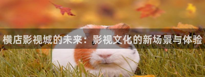 九七电影院手机版在线观看免费高清：横店影视城的未来：影视文化的新场景与体验