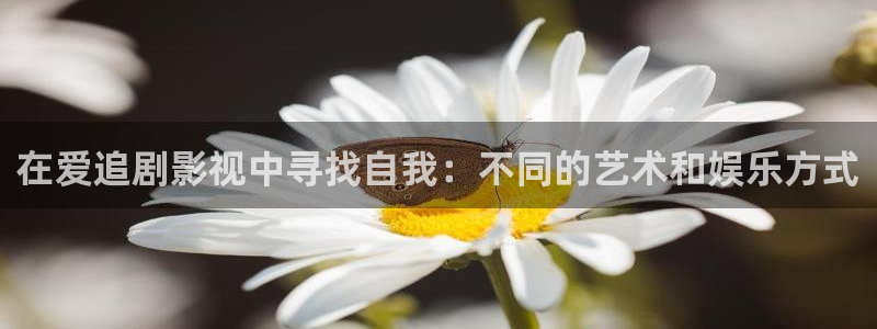 九七影院九七电影网：在爱追剧影视中寻找自我：不同的艺术和娱乐方式