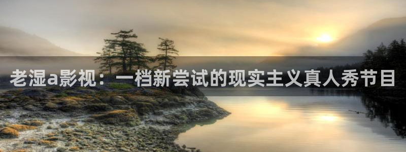 九七在线观看免费高清电视剧窝窝美：老湿a影视：一档新尝试的现实主义真人秀节目